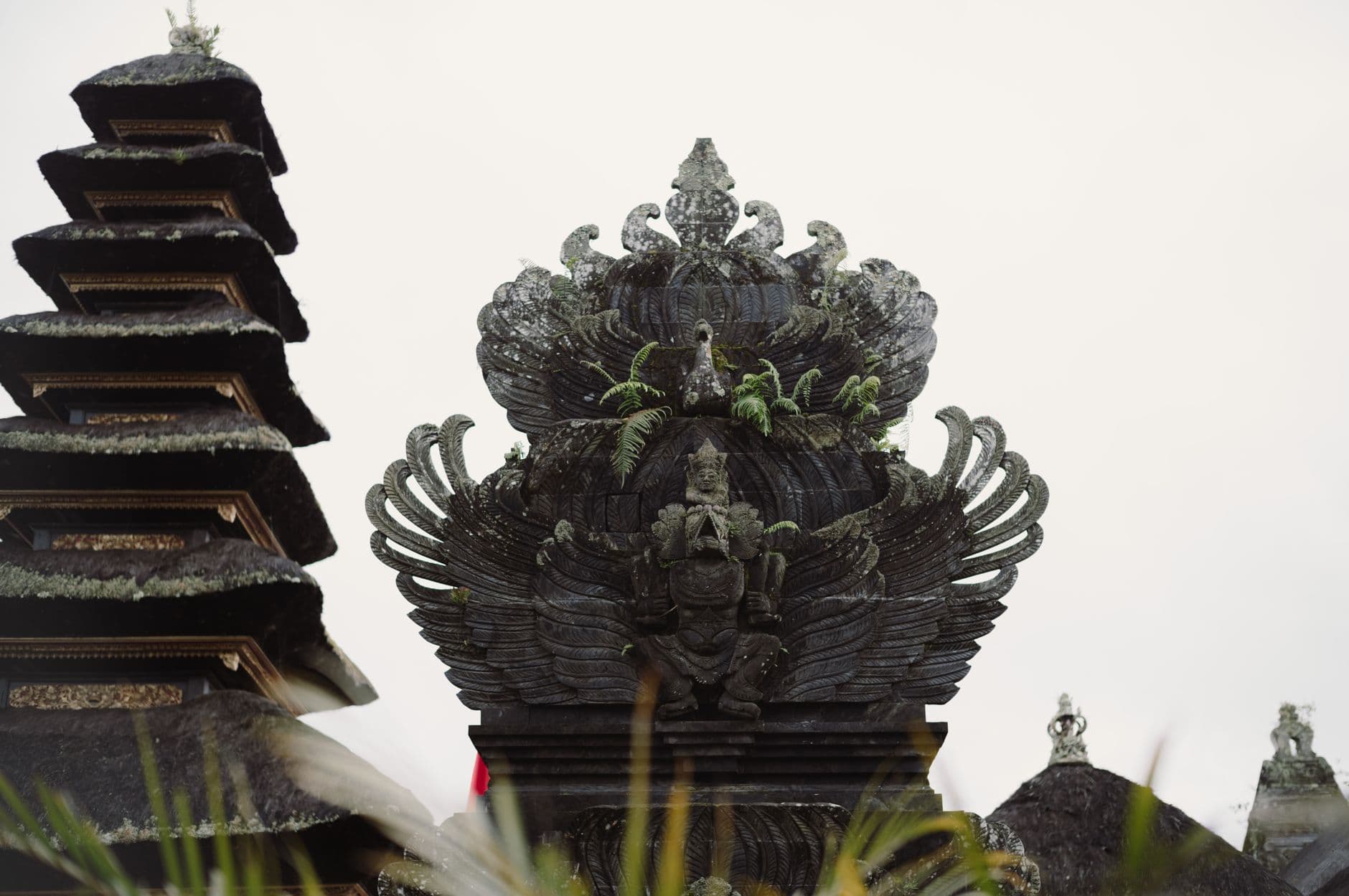 Indonesia visa guide card image