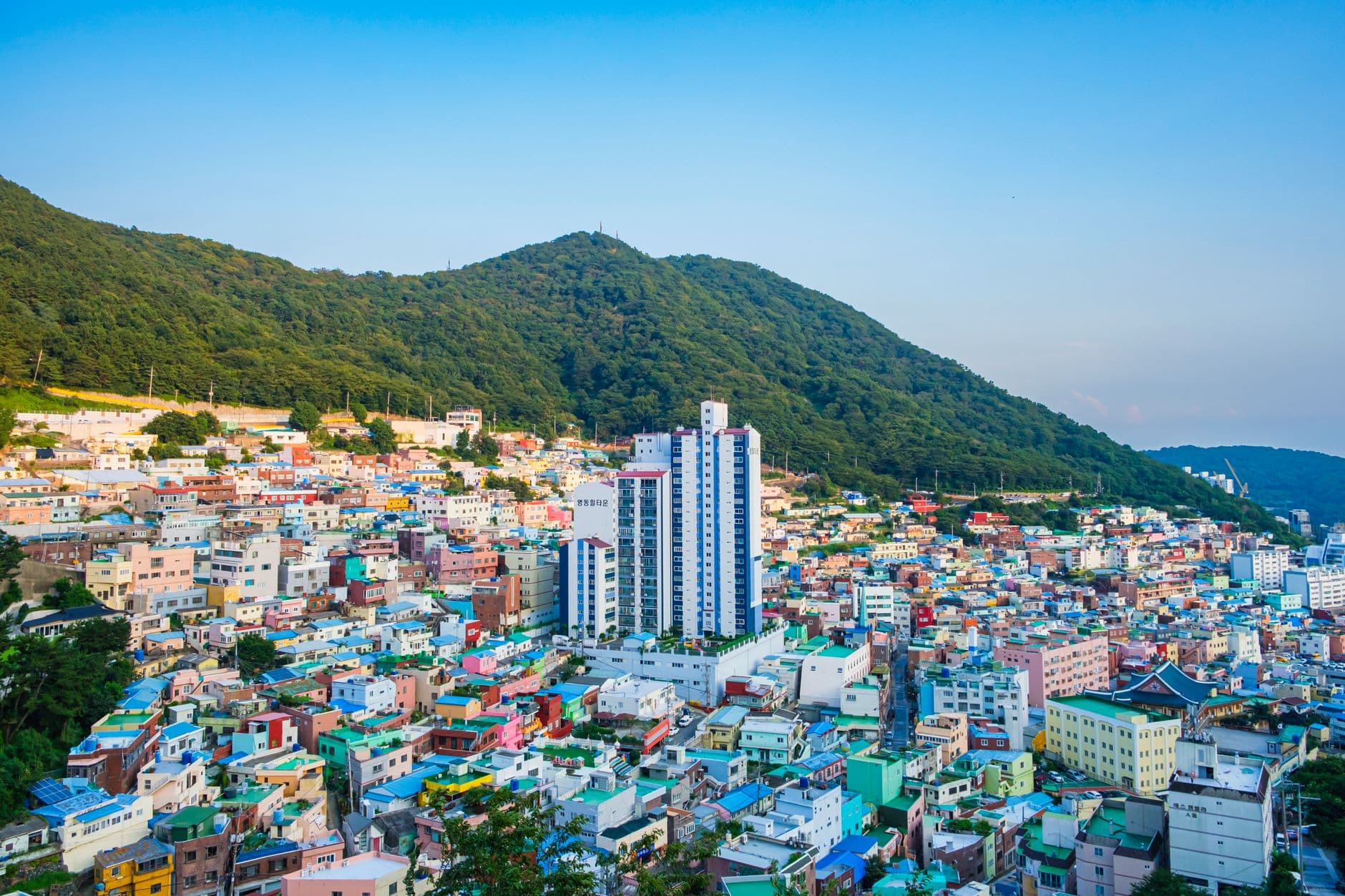 Seoul & Nami Island Discovery - 5 Days holiday gallery photo 4