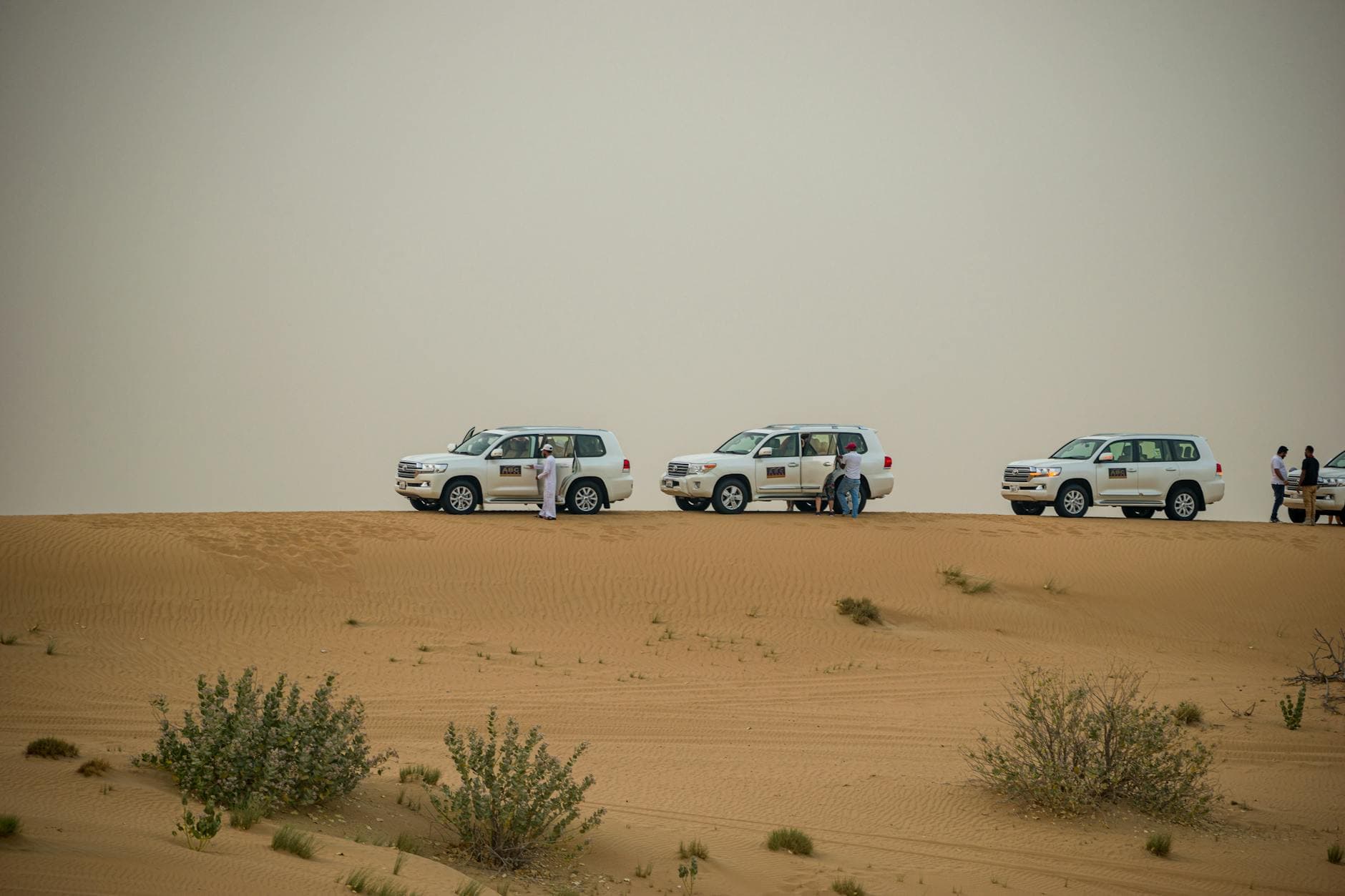 Dubai Luxury Escape with Desert Safari - 5 Days holiday gallery photo 3