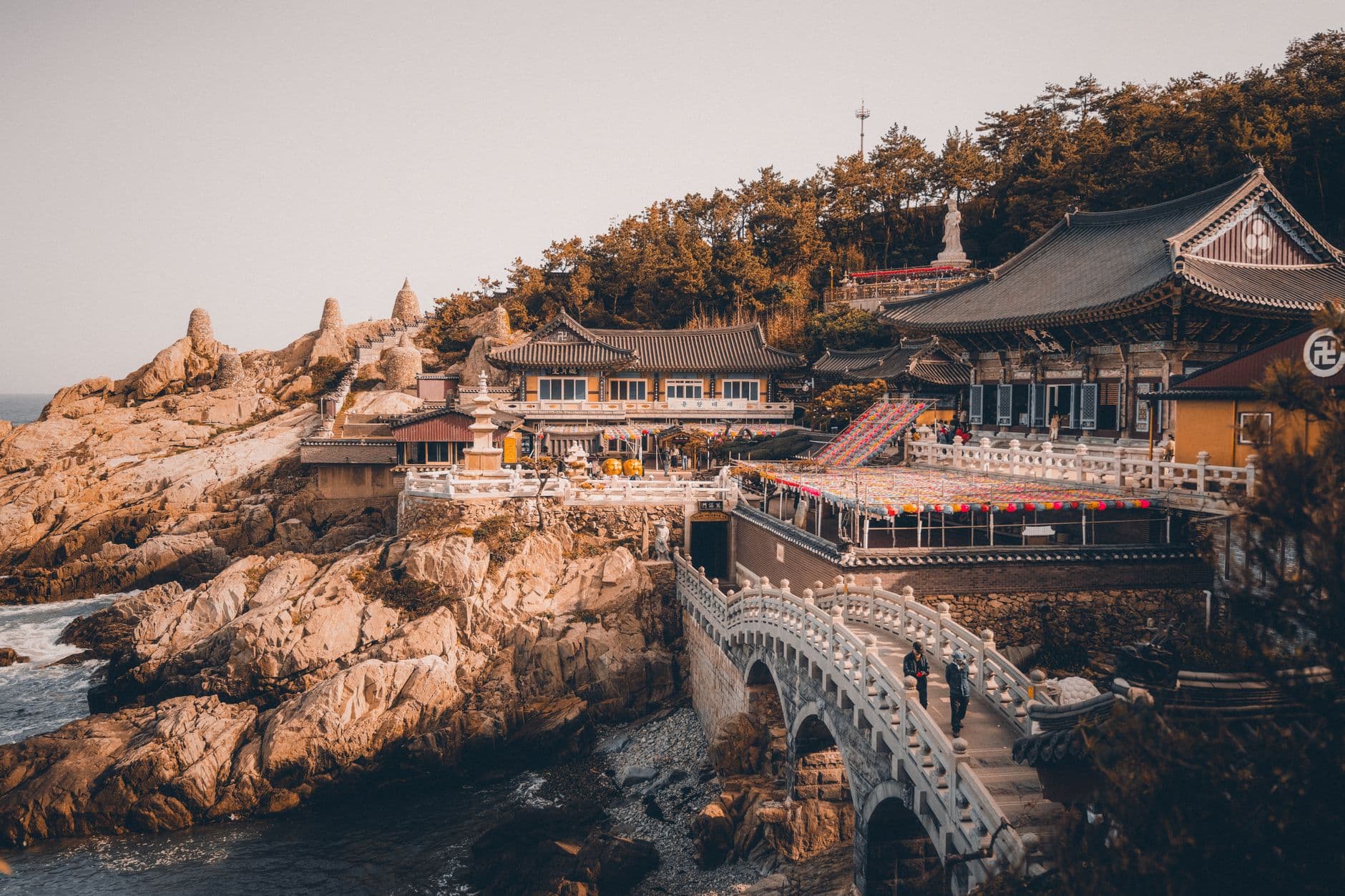 Seoul & Busan Coastal Experience - 6 Days holiday gallery photo 3