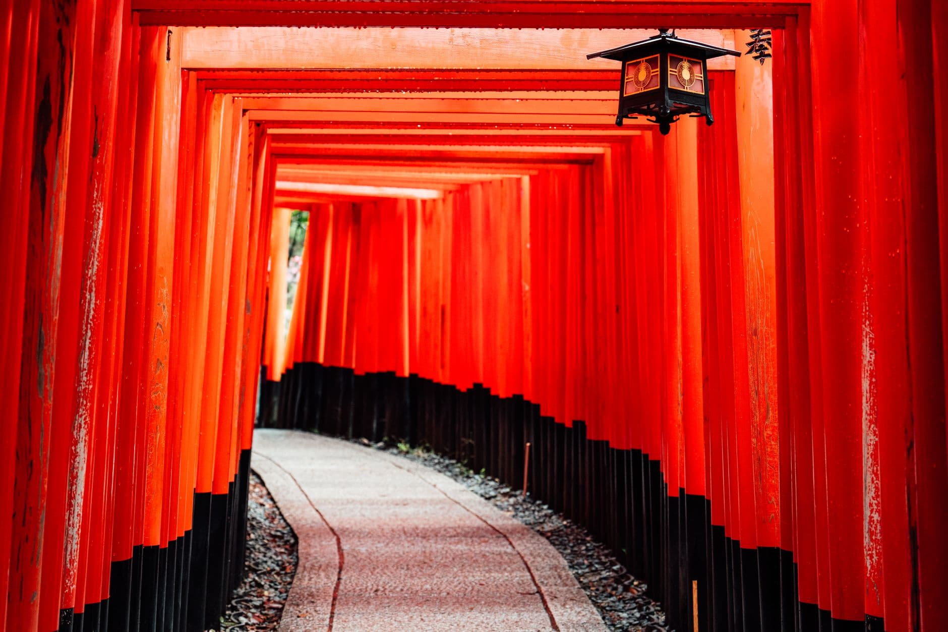 Kyoto & Osaka Cultural Discovery - 6 Days holiday gallery photo 1
