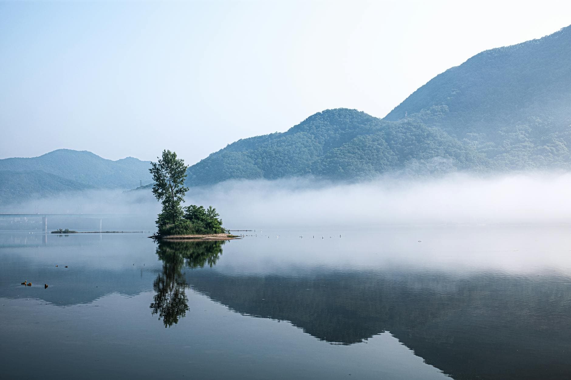 Seoul & Nami Island Discovery - 5 Days holiday gallery photo 3