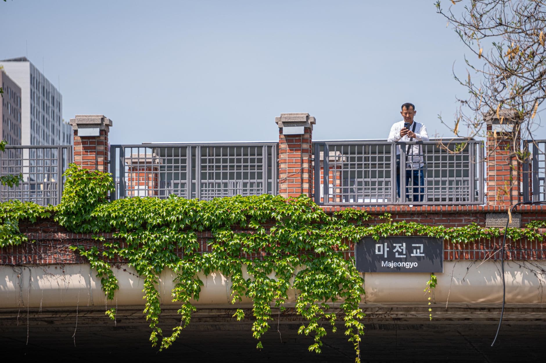 South Korea destination preview image