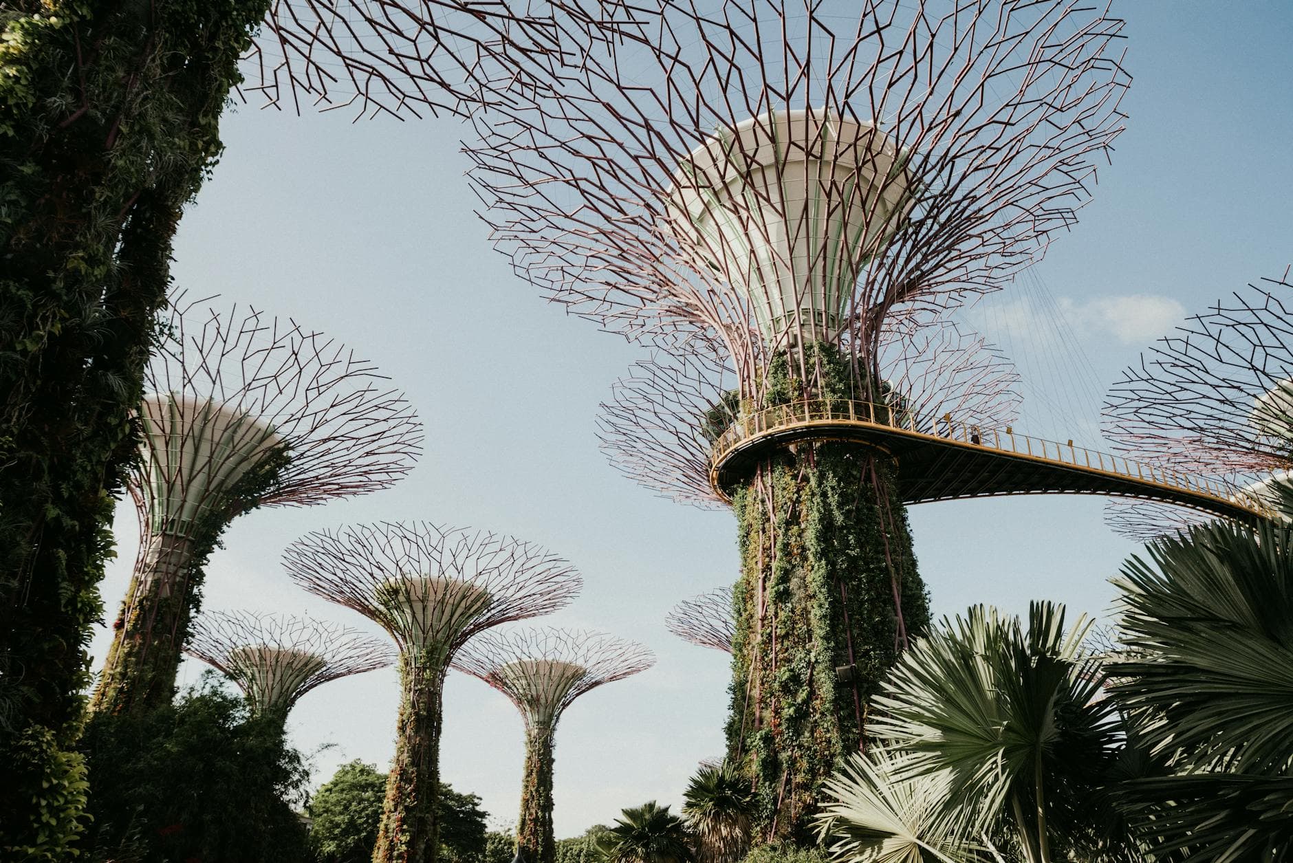 Theme park and city activity passes in Singapore